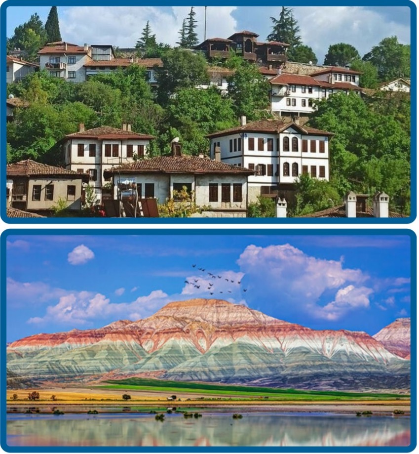 Beypazarı / Çayırhan Kuş Cenneti